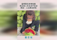网友报道吃瓜网,网友热议的娱乐资讯平台深度解析
