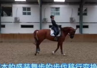 小姐姐骑马内蒙,小姐姐骑马内蒙的浪漫之旅