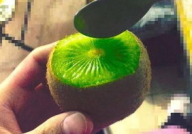 怎么吃抖音网红的瓜,揭秘网红美食背后的秘密