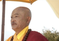 朋友曾经吃瓜网红被告,一场网络舆论的风暴与法律审判的较量”