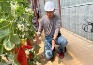 网红吃瓜打卡地,揭秘热门吃瓜圣地背后的故事